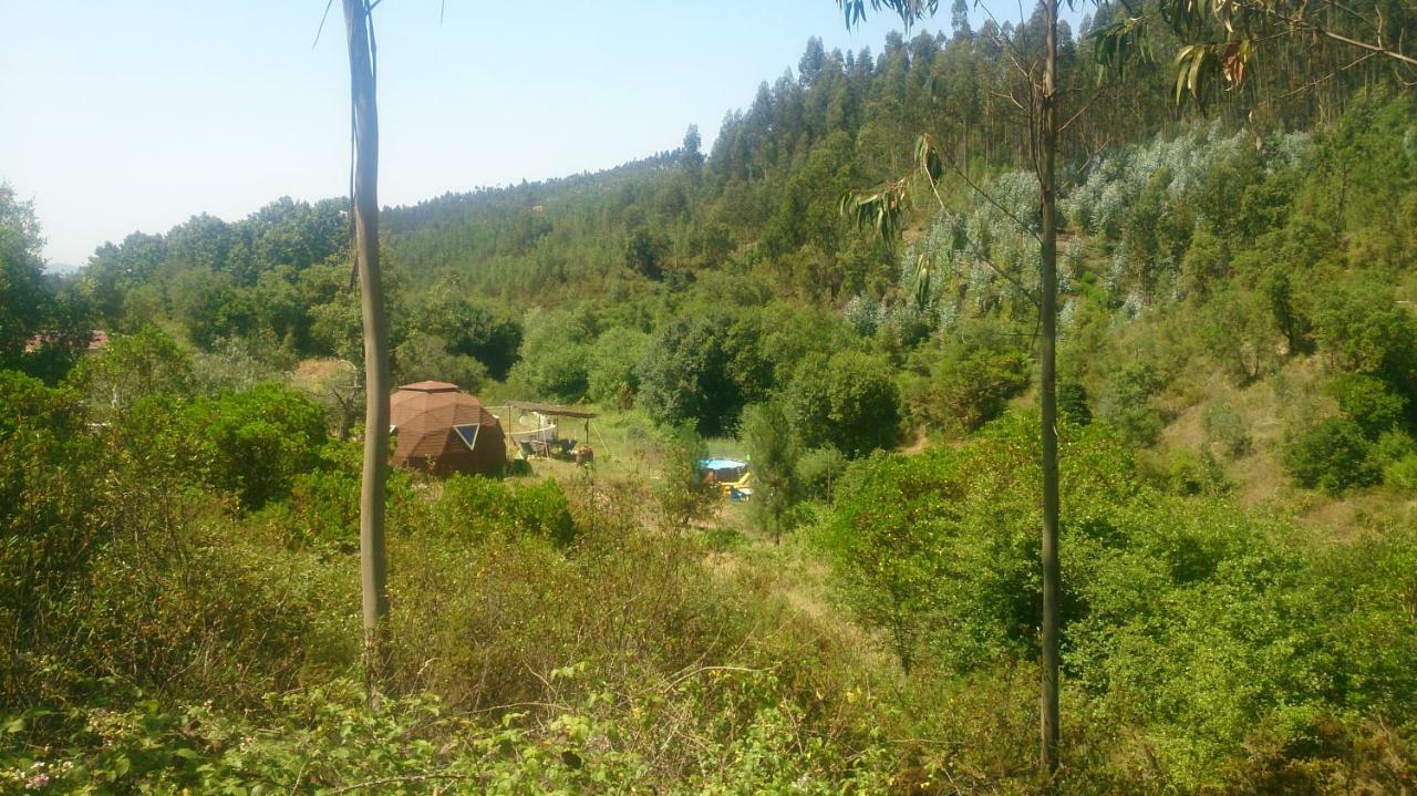 Vale Das Cupulas Figueiro Dos Vinhos Exterior foto