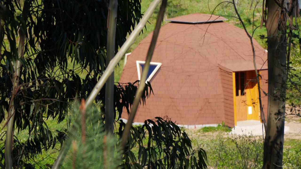 Vale Das Cupulas Figueiro Dos Vinhos Exterior foto